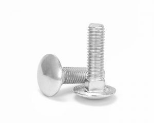 Carriage Bolt