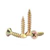 Self-Tapping Screw